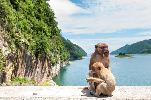 Kanchanaburi